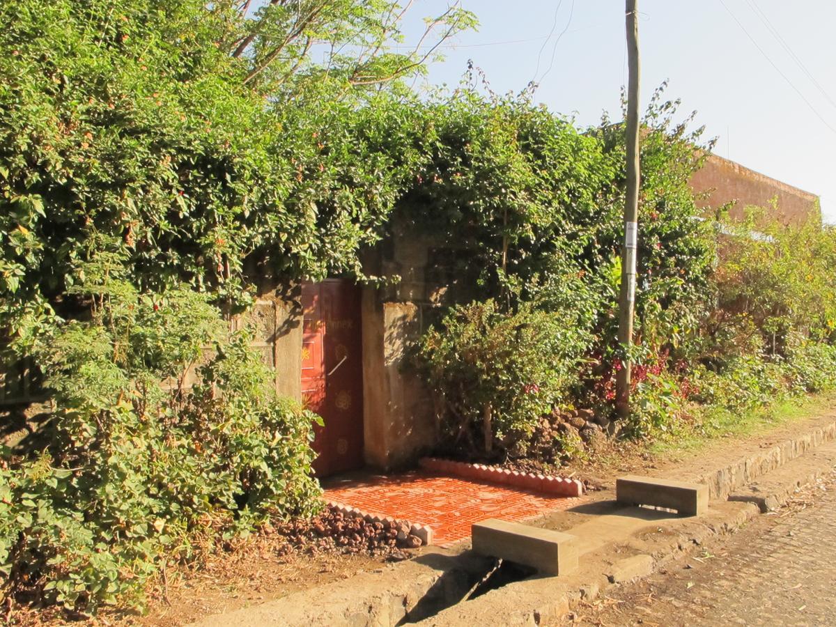 B&B The Annex Bahir Dar Eksteriør billede